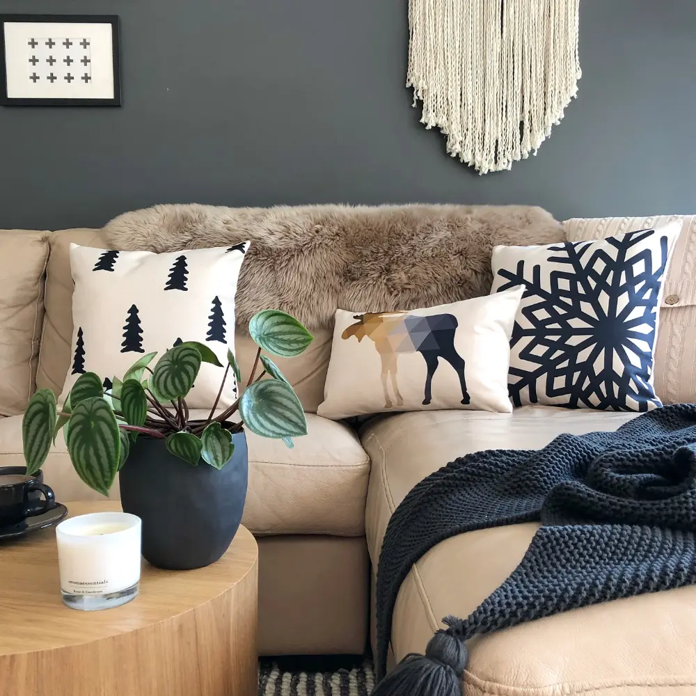 A living room with cushion sale items displayed on a seat.